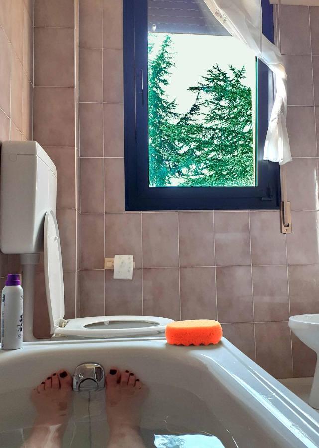 Hotel Prato Verde Polinago المظهر الخارجي الصورة